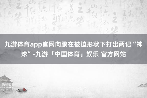 九游体育app官网向鹏在被迫形状下打出两记“神球”-九游「中国体育」娱乐 官方网站